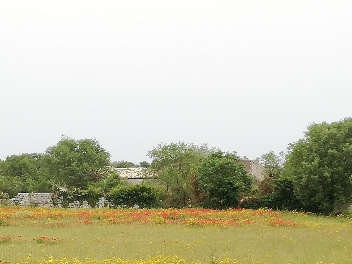 Agriturismo Fondo Paliemmu Модіка Екстер'єр фото
