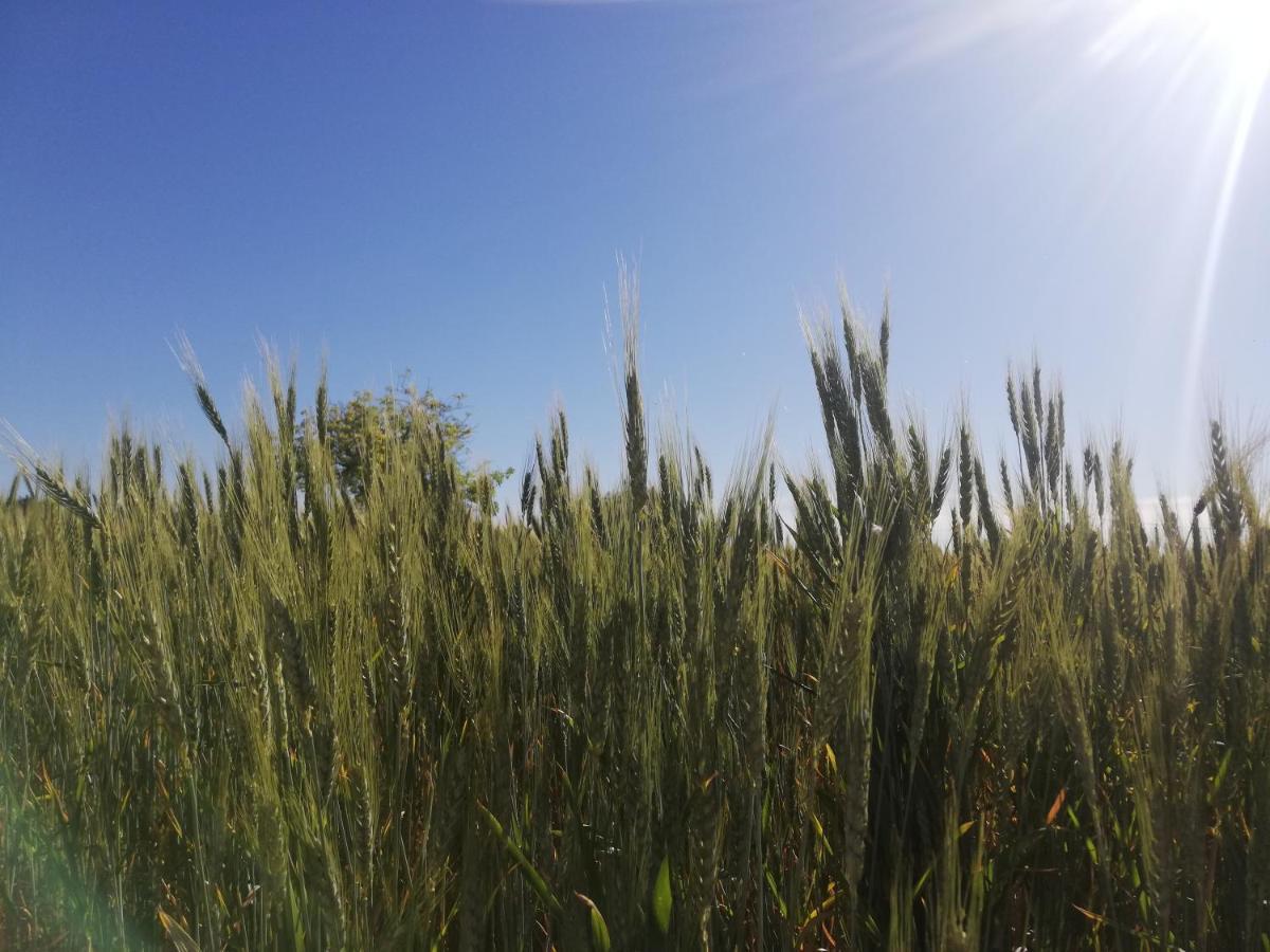 Agriturismo Fondo Paliemmu Модіка Екстер'єр фото