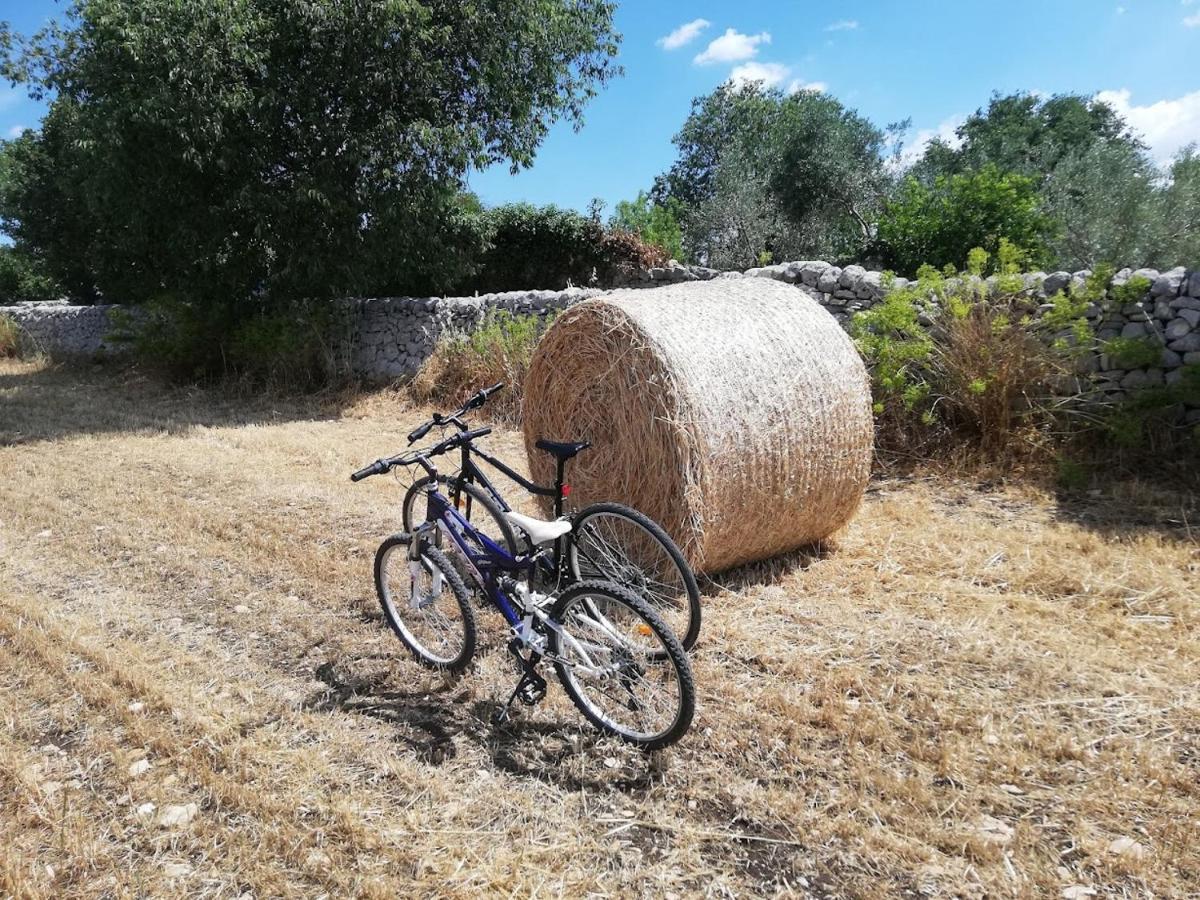 Agriturismo Fondo Paliemmu Модіка Екстер'єр фото